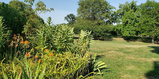 Patterson Park-巴尔的摩必去景点