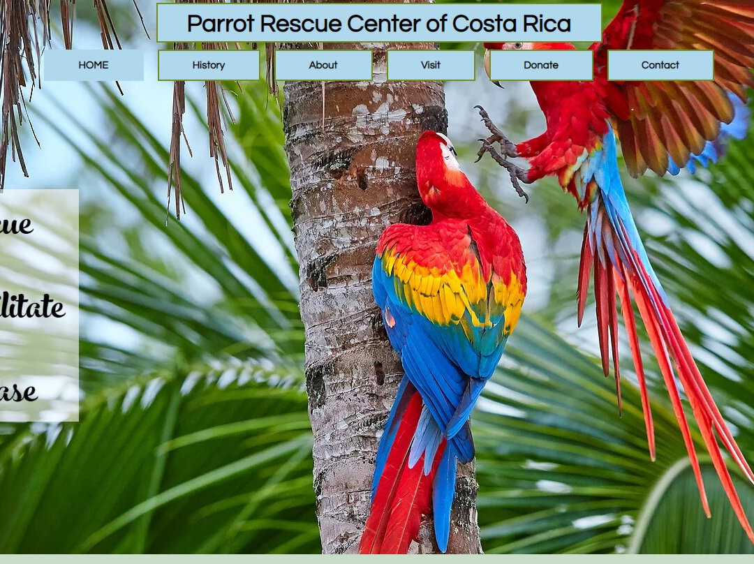 Parrot Rescue Center Of Costa Rica景点图片