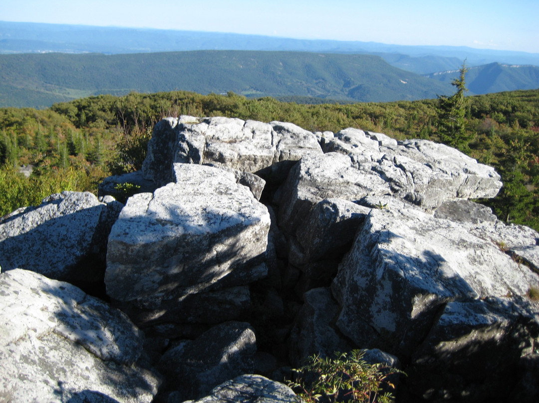 Bear Rocks Preserve景点图片