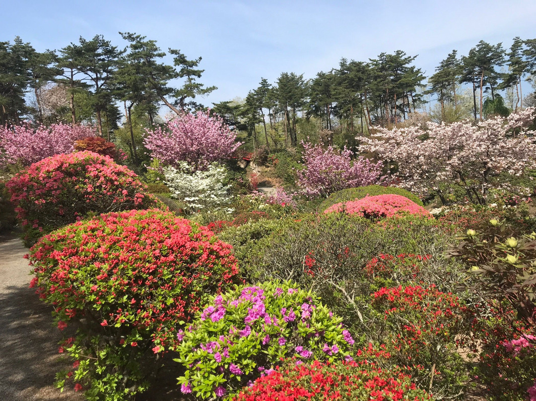 Okanbara Tsutsuji Garden景点图片