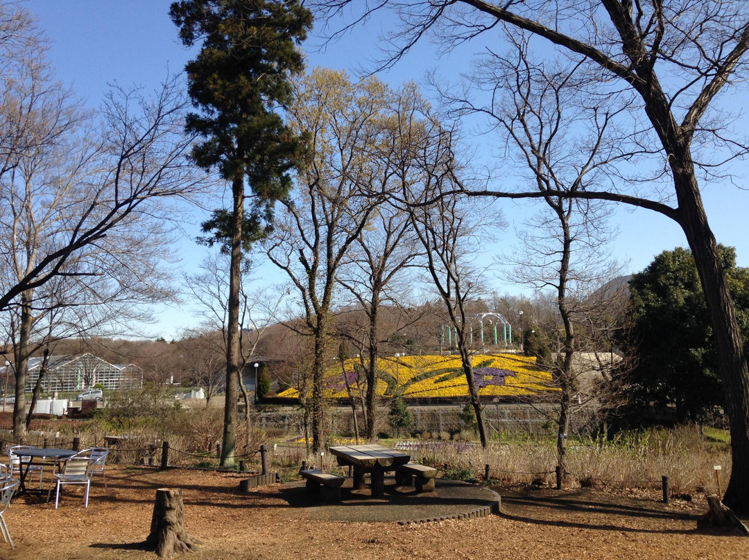 Sakata no Tane Green House