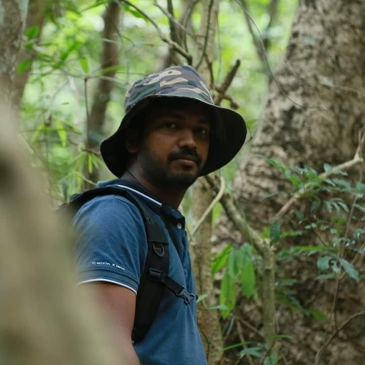 Travelling Thrills-埃勒必去景点