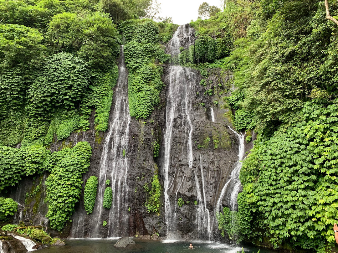 Banyumala Twin Waterfalls景点图片