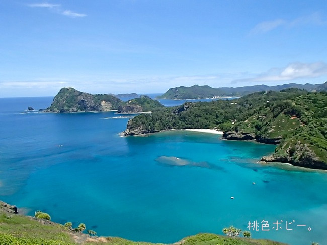 Buta Beach-小笠原村必去景点