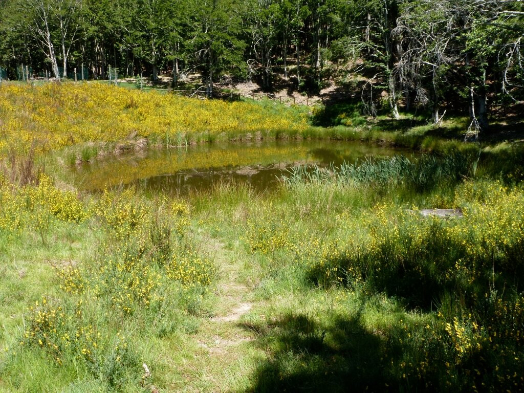 Lago degli Idoli景点图片