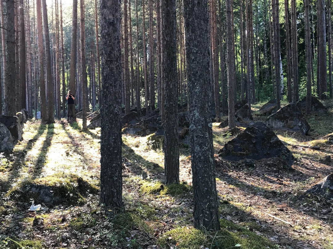 Medvezhyegorsk旅游攻略图片