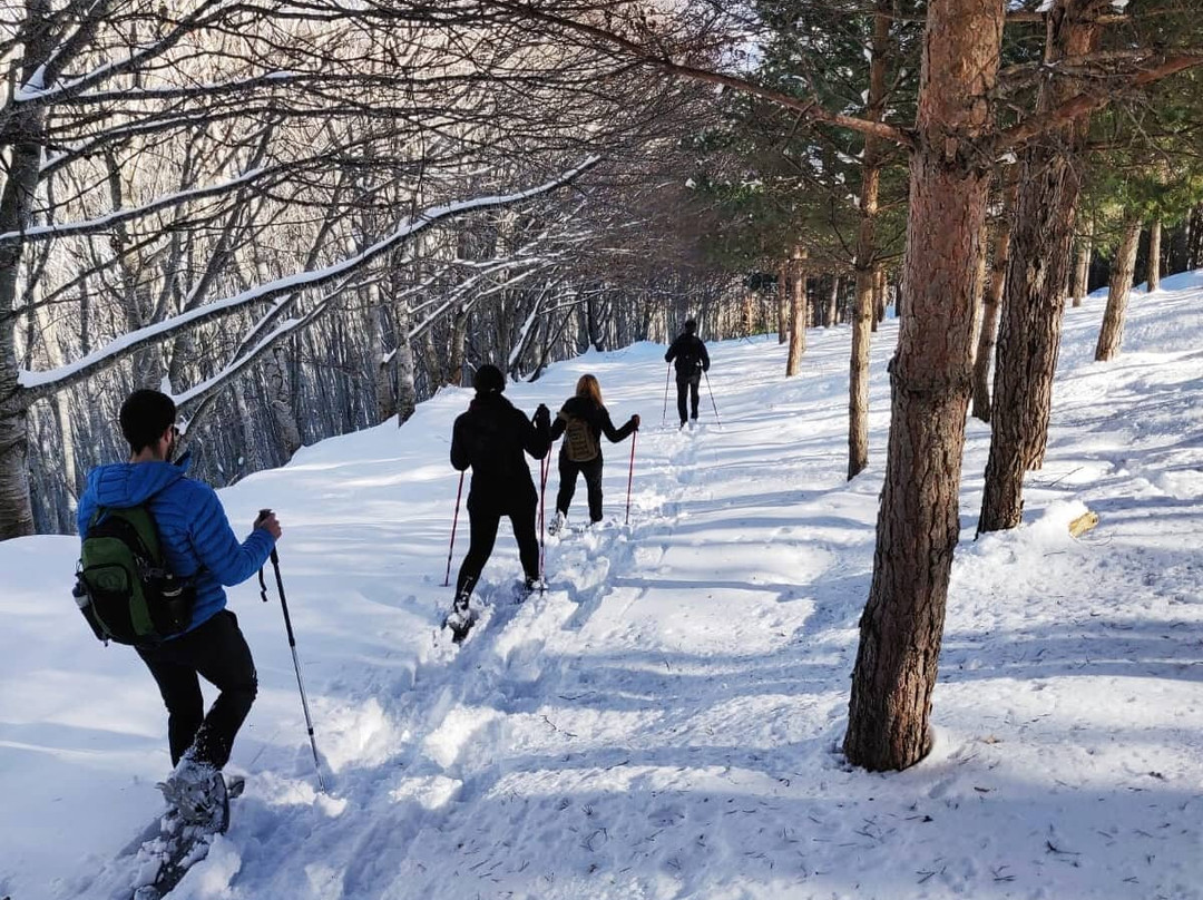 Silvestres-艾斯卡拉伊必去景点