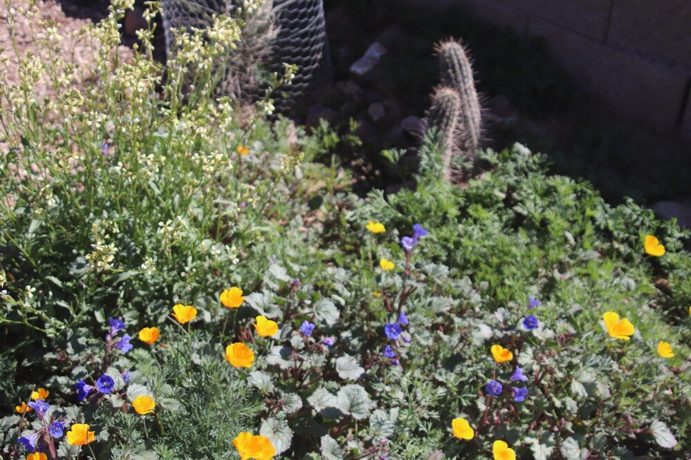 El Rio Preserve-马拉纳必去景点