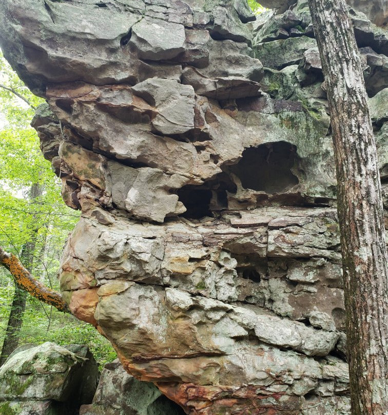 Rocktown Trail景点图片