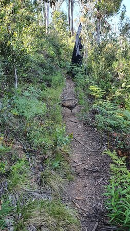 Bungalow Spur Hiking Trail-Harrietville必去景点