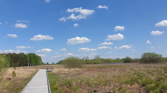 Poleski Park Narodowy景点图片