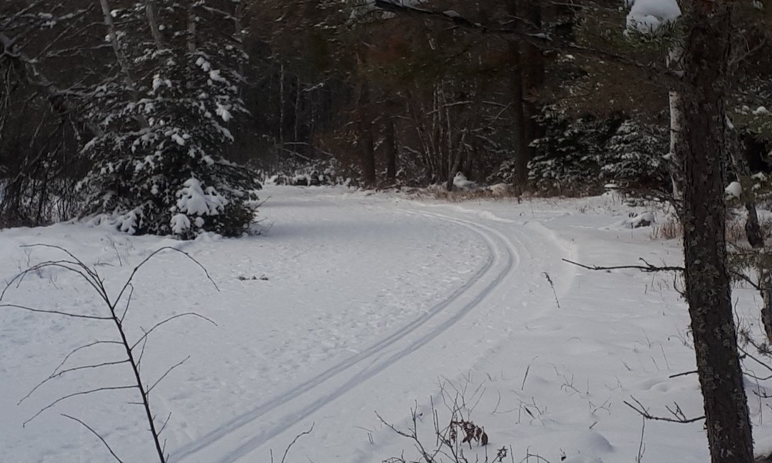 Falcon Trails Resort主图