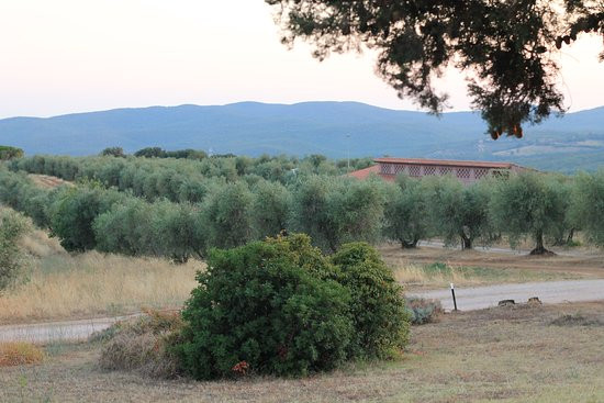 Tenuta Agricola Fraschiera主图