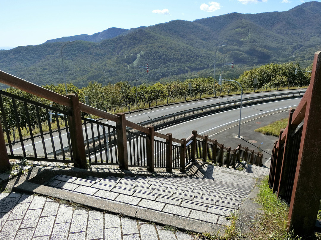 Sekisho Jukai Road景点图片