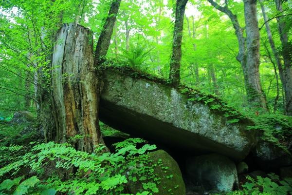 Ishigedo Rest Area-十和田市必去景点