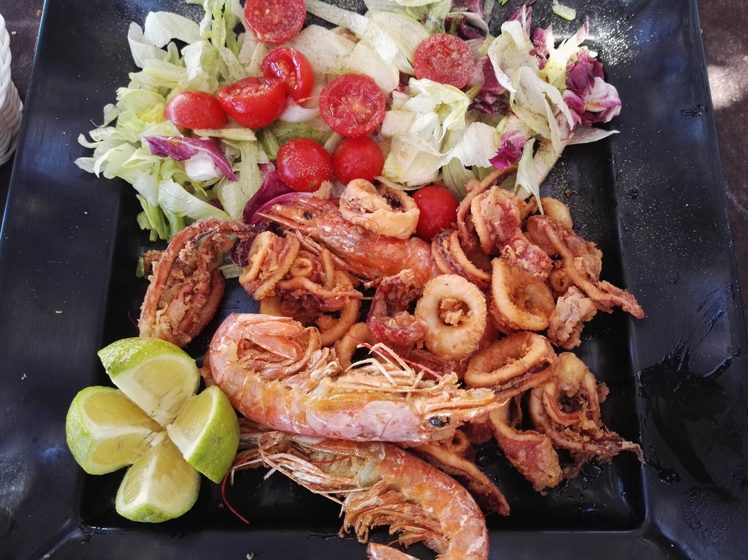 Maracaibo Lido