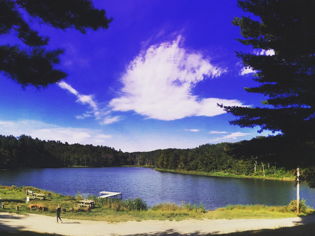 West Newbury旅游攻略图片