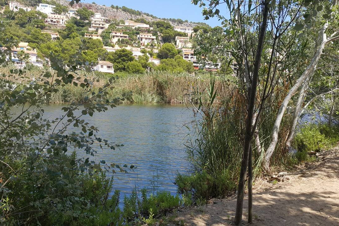 Canyamel旅游攻略图片