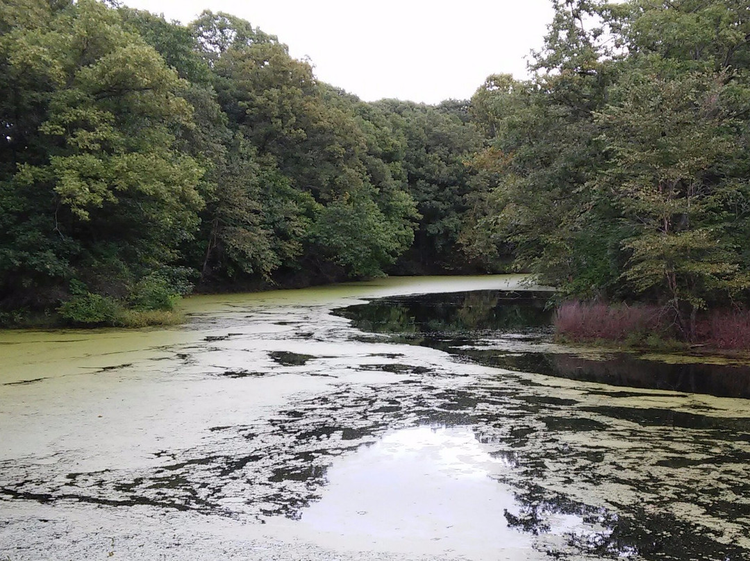 Pershing State Park-Laclede必去景点