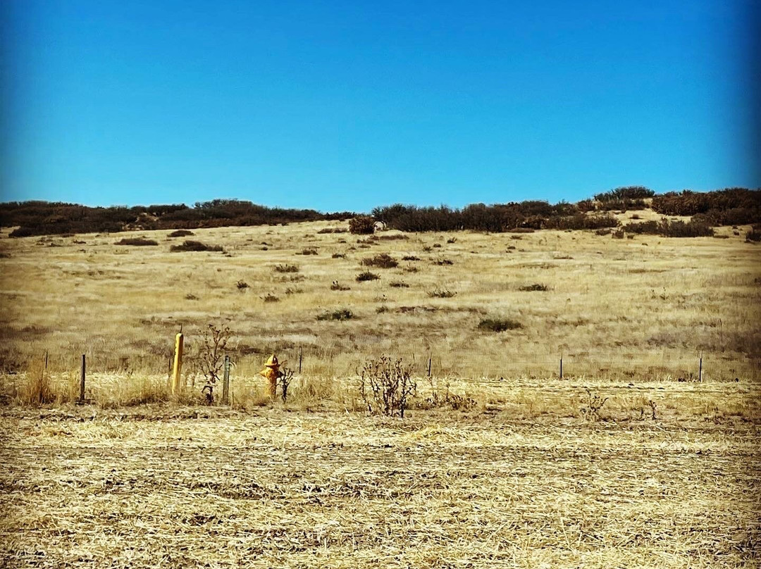 The Exchange Coffee House