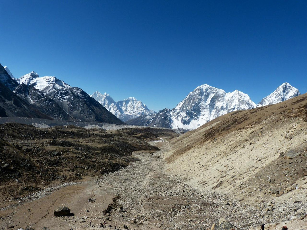 Simrik Real Nepal Treks & Expedition Pvt. Ltd.景点图片