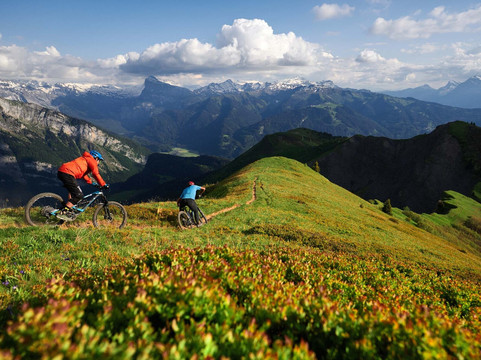 LeRipp - Unique Mountain Bike Adventures in Chamonix, France-霞慕尼必去景点