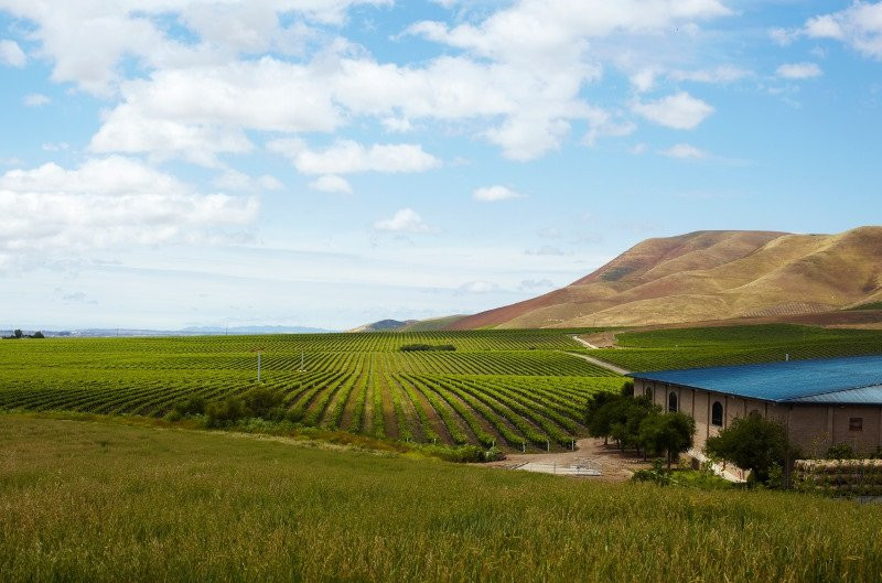 Cambria Estate Winery-圣玛丽亚必去景点