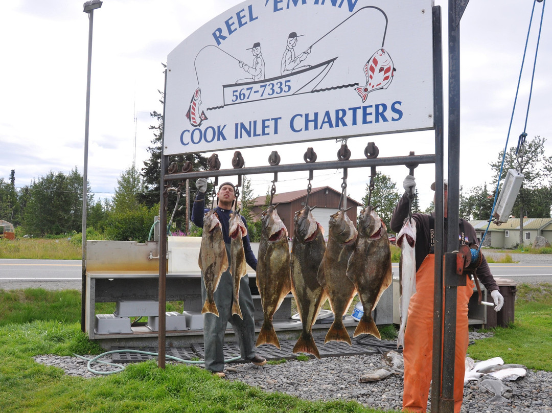 Reel 'Em Inn - Cook Inlet Charters