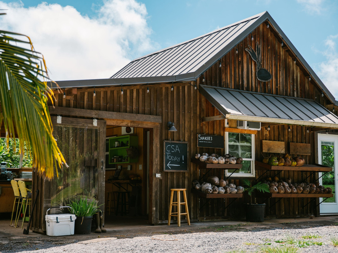 Coconut Information Farm & Cooking School-海库必去景点