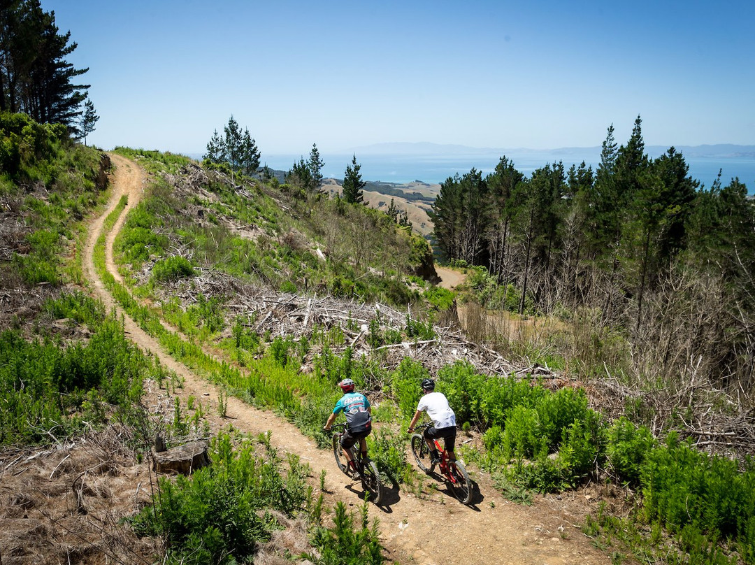 Fourforty Mountain Bike Park-Orere Point必去景点