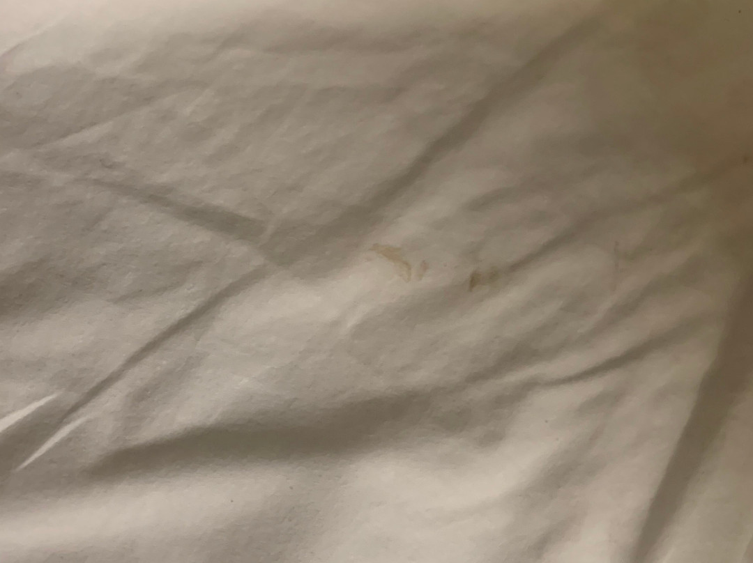 Economy Inn