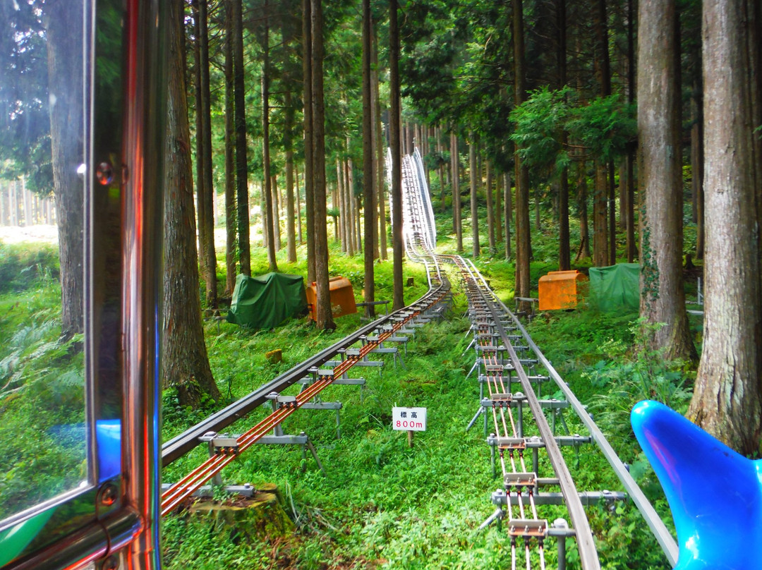 Okuiya Sightseeing Tour Monorail