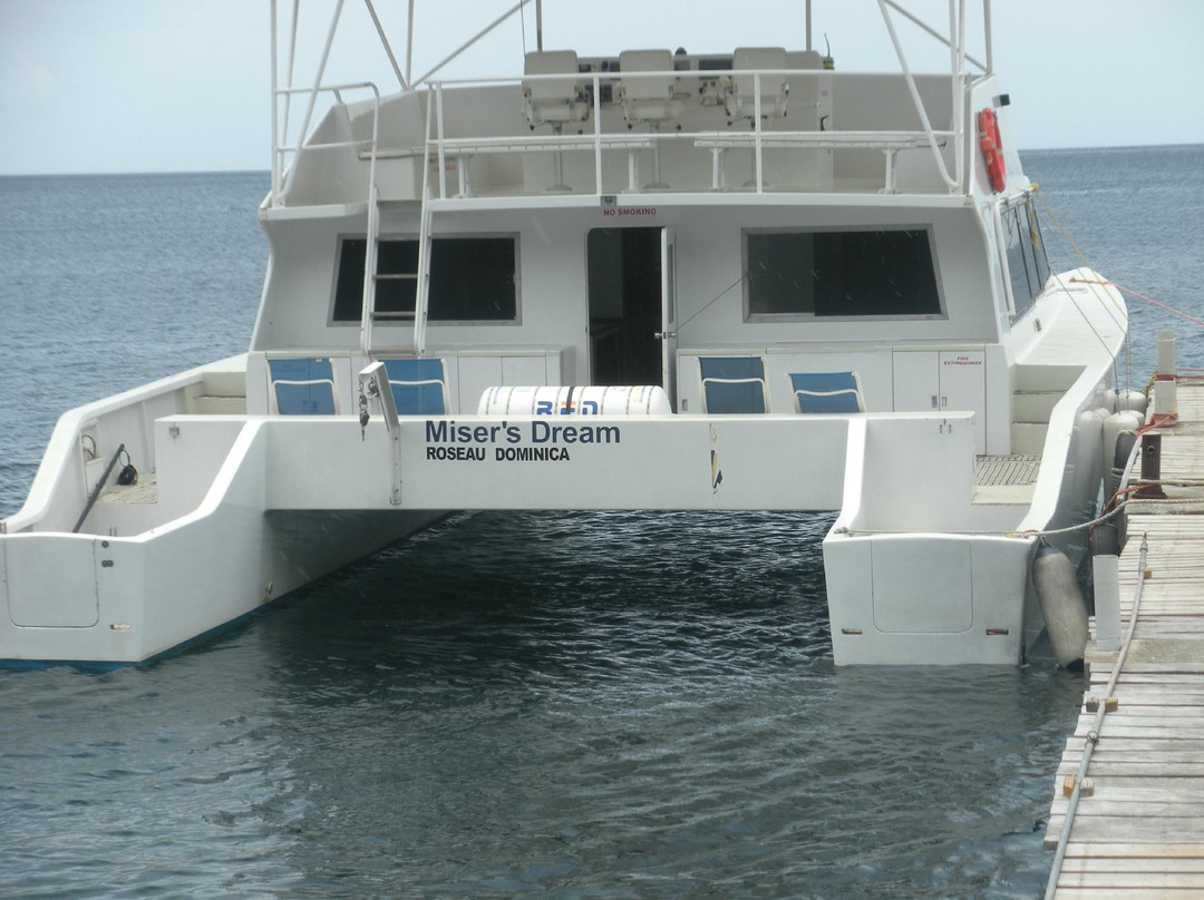 Anchorage Hotel Whale Watching-罗索必去景点