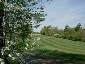 Dogwood Hills Golf Resort & Gardens景点图片