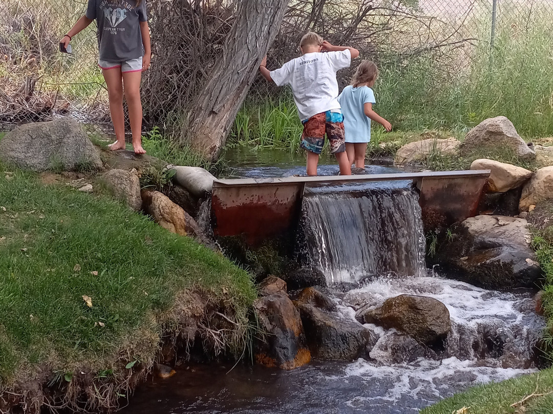 Brown's Millpond Campground