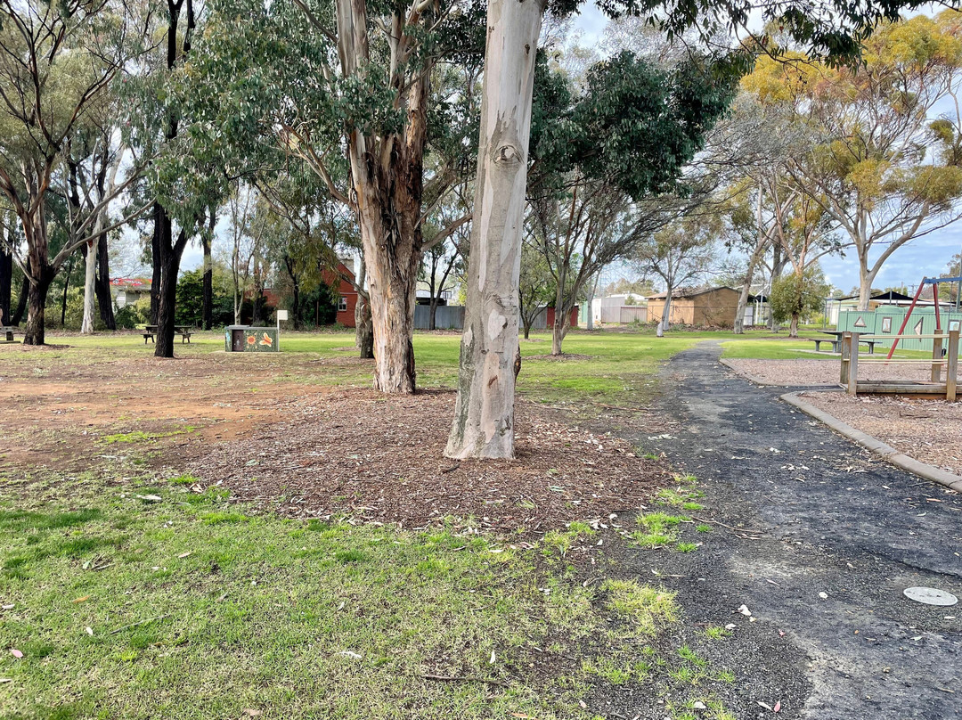 Harry Mccormick Arboretum