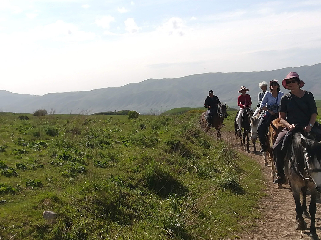 Terra Montis Adventures