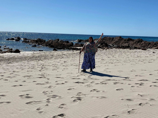 Koala Adventure Tours-袋鼠岛必去景点