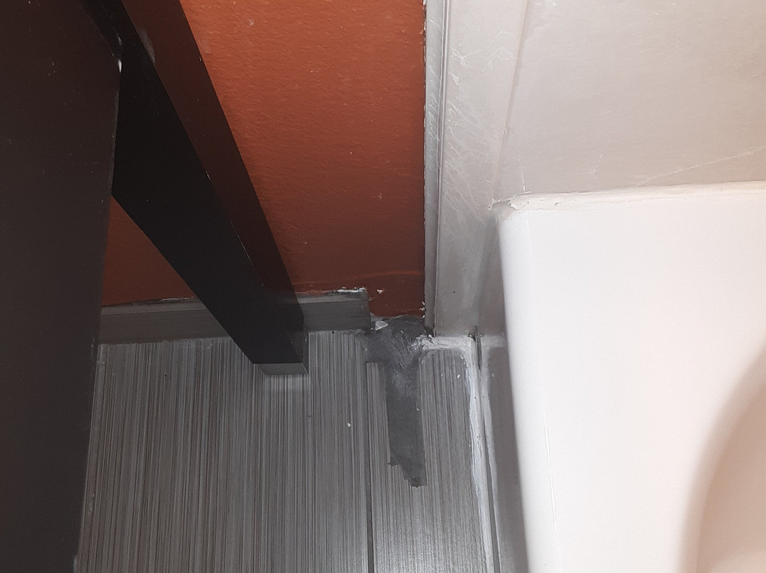 Country Inn & Suites by Radisson, Wolfchase-Memphis, TN主图