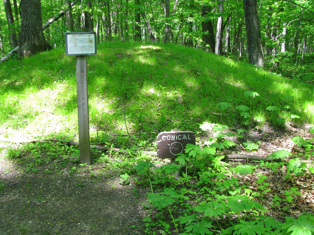 Lizard Mound County Park景点图片