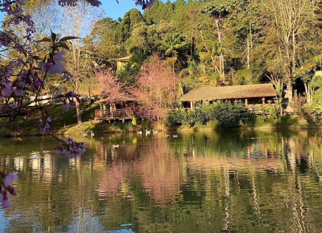 Arace旅游攻略图片