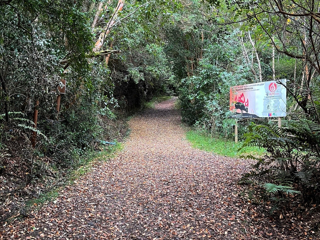 Parque Nacional Chiloé-奇洛埃岛必去景点