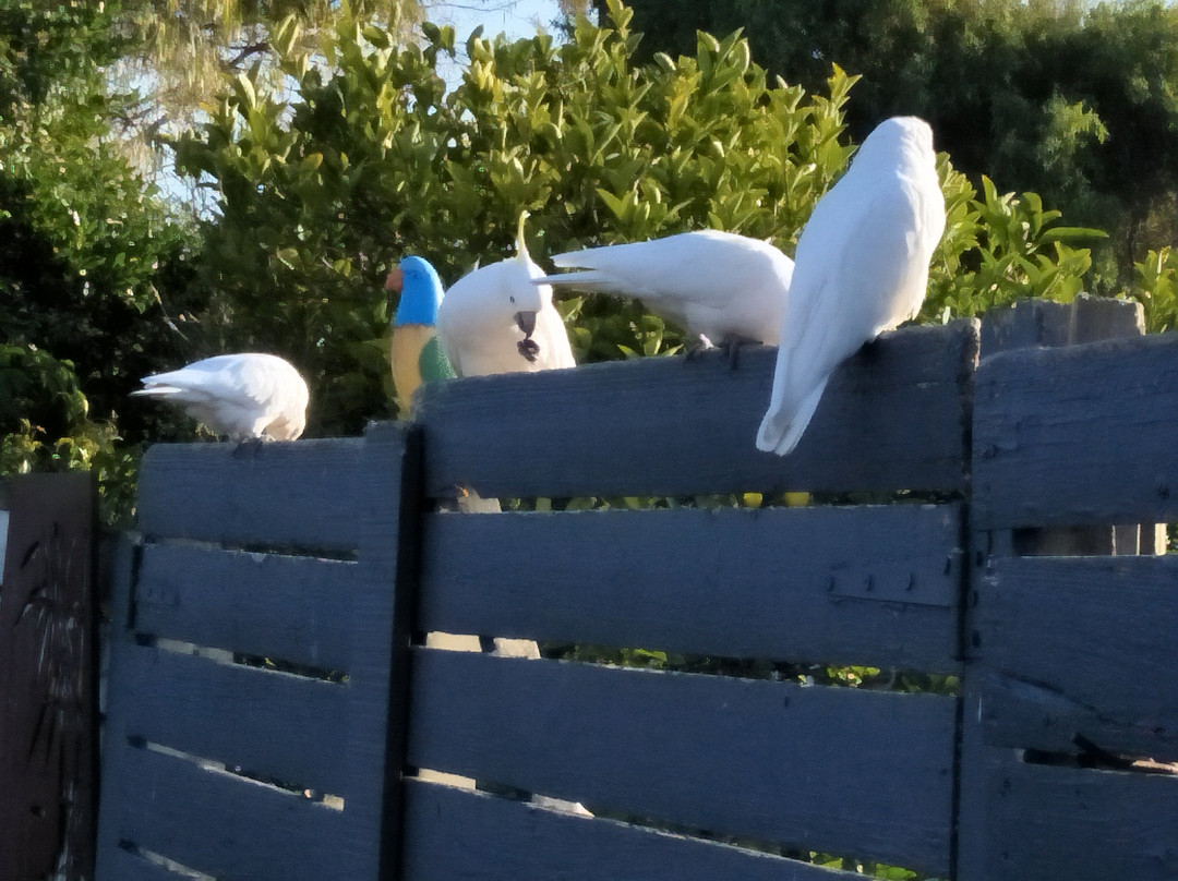 马伦戈汽车旅馆主图