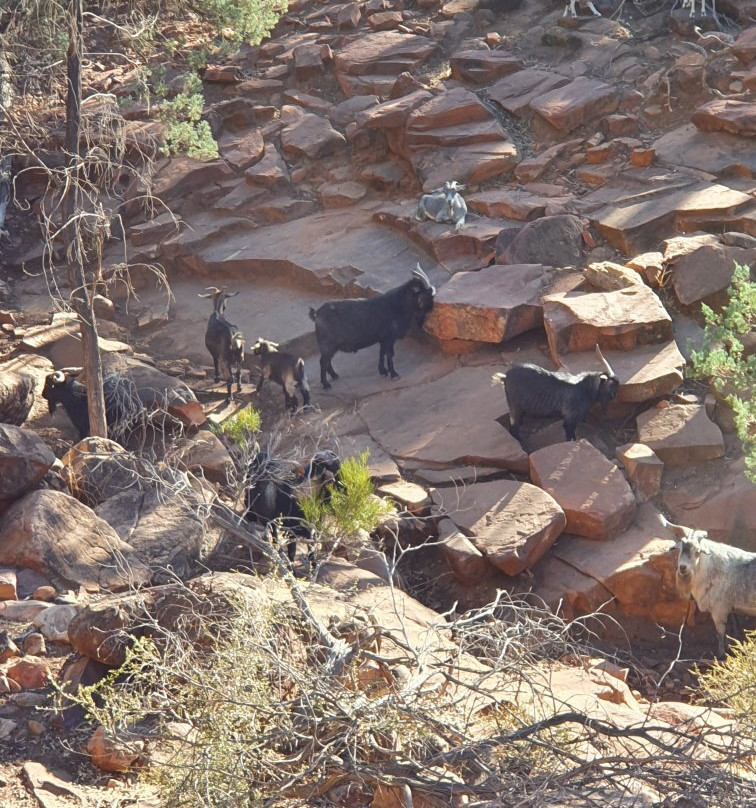 Arkaroo Rock景点图片
