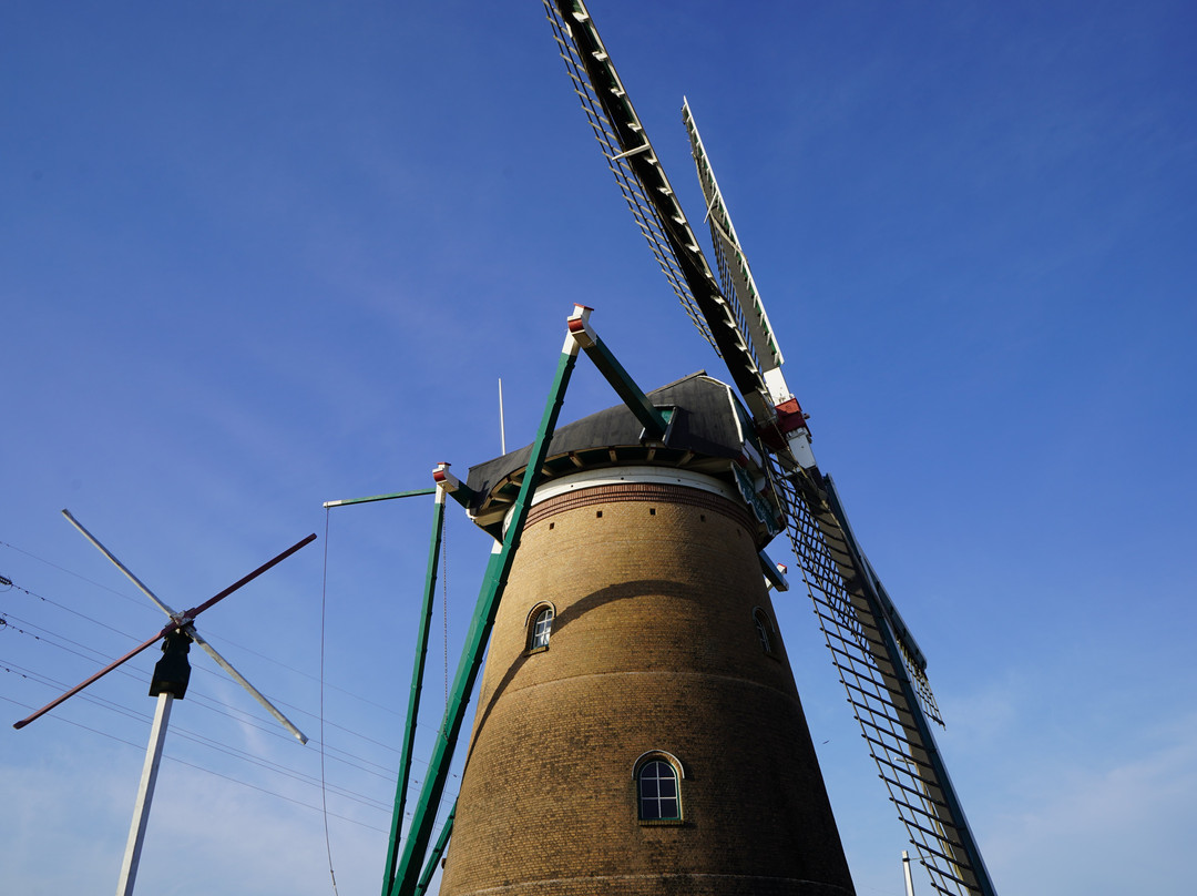 Sakura Furusato Square-佐仓市必去景点