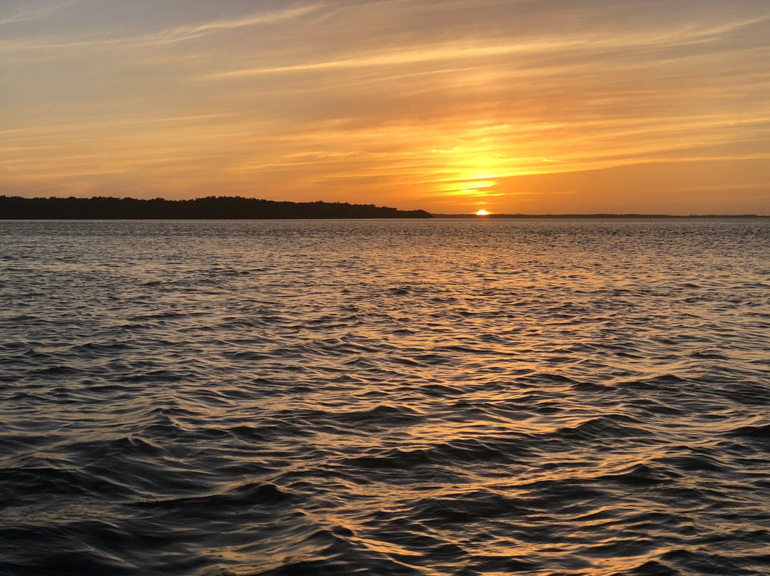 Captain Matt's Island Charters-萨尼贝尔岛必去景点