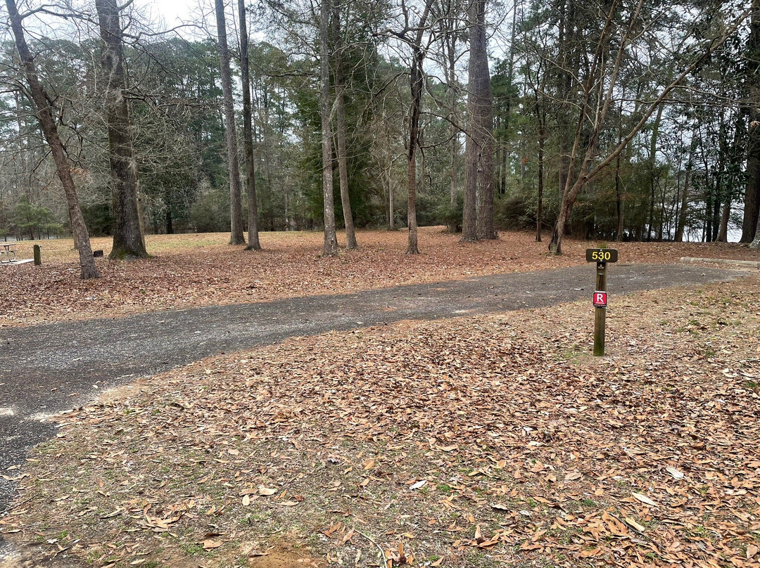 Martin Dies, Jr. State Park-Jasper必去景点