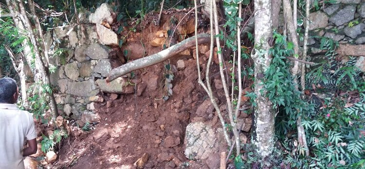 Belihuloya Terico Resort主图