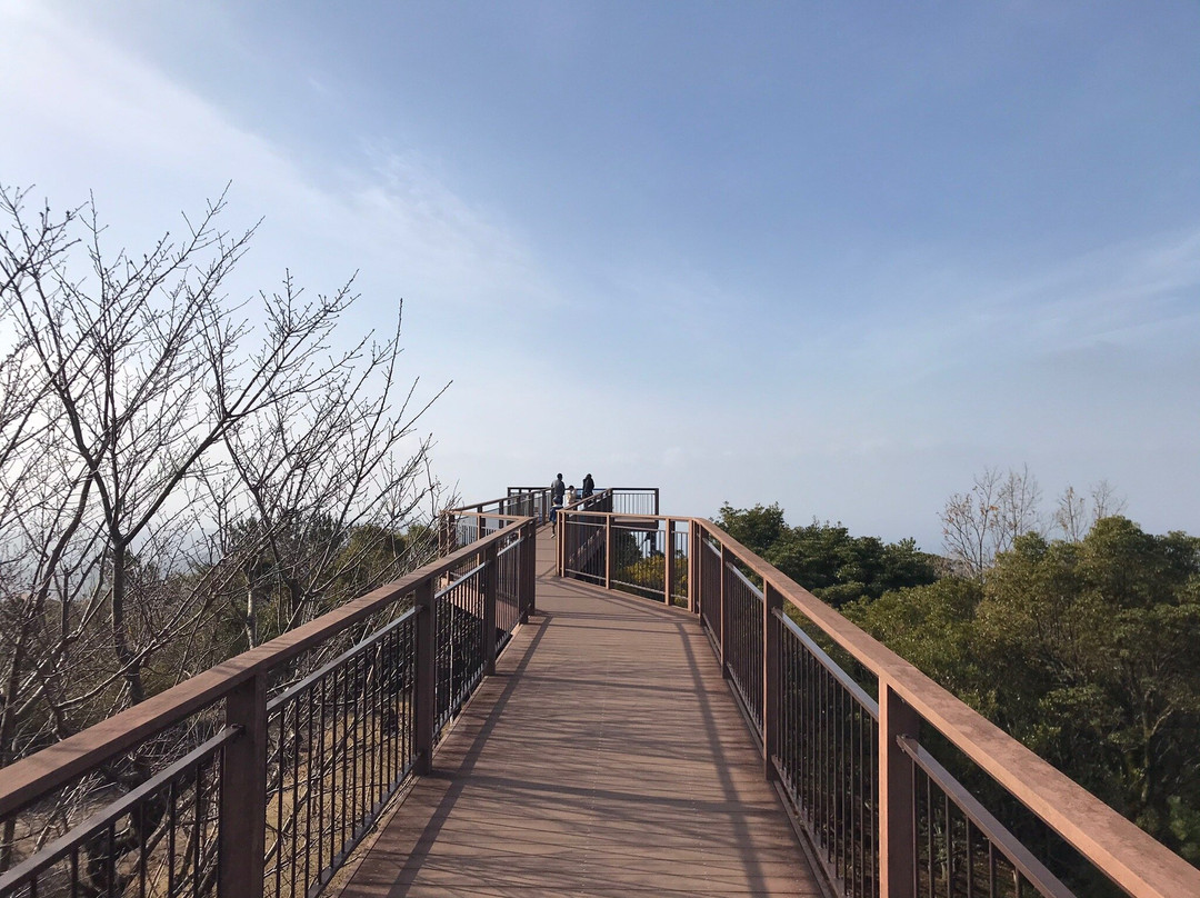 Mt. Yumiharidake Observation Deck-佐世保市必去景点