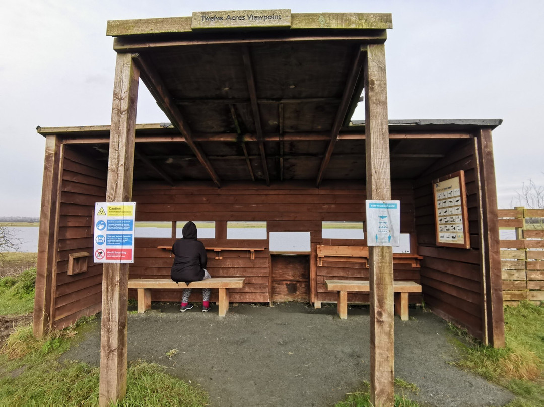 RSPB West Canvey Marsh景点图片